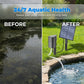 Solar-powered pond aerator with an air pump