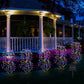 🌈 LIMITED-TIME 50% OFF! ✨ Solar Garden Lights Outdoor Decor – 100 LEDs, IP55 Waterproof, Easy Install 🌙